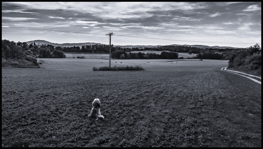 Výhled do krajiny, kokr, Bukovany, 2023, okres Benešov