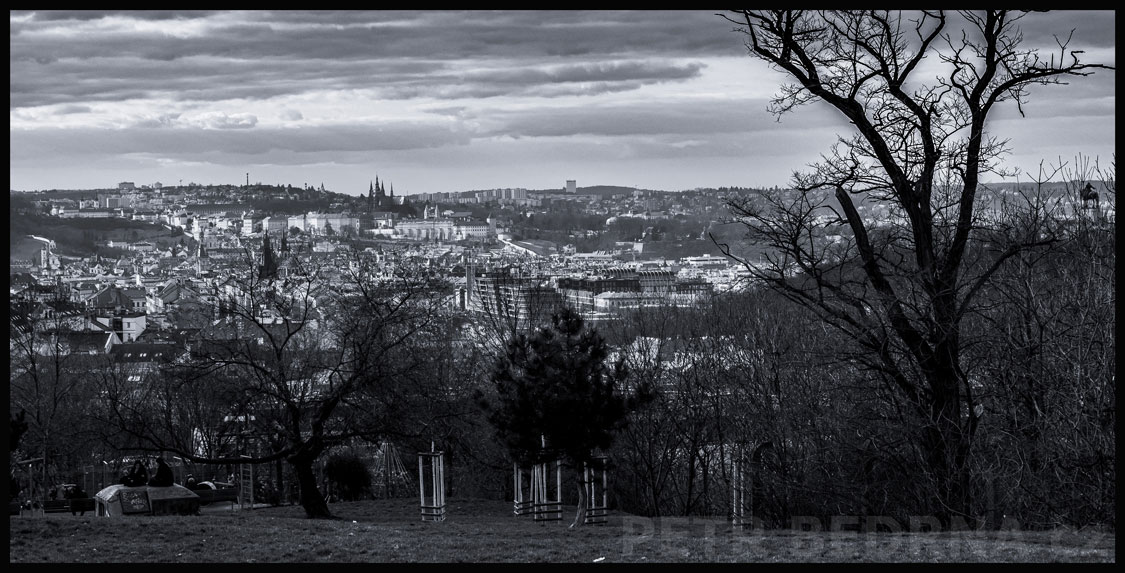Hradčany, Parukářka, Praha centrum, stromy, street foto, obzor, obloha, celkový pohled, Česko