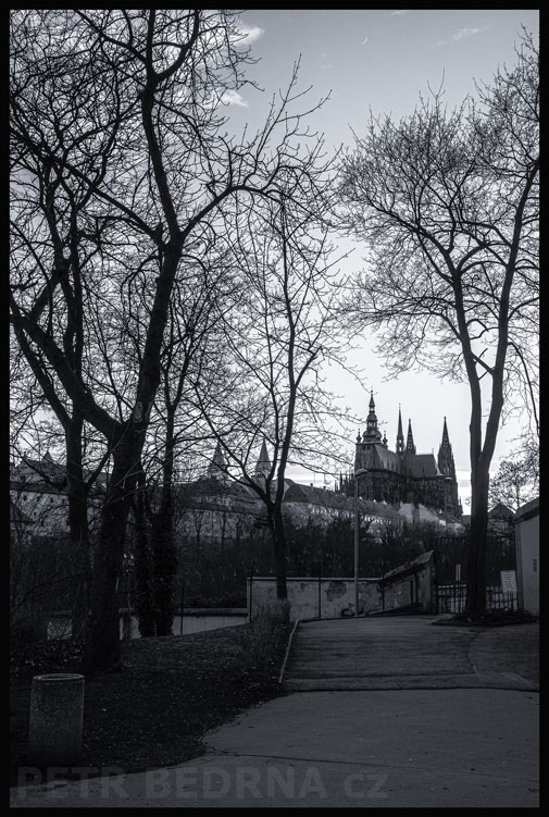 Hradčany - Pražský hrad, Chotkovy sady, Praha, stromy, obloha, Česko