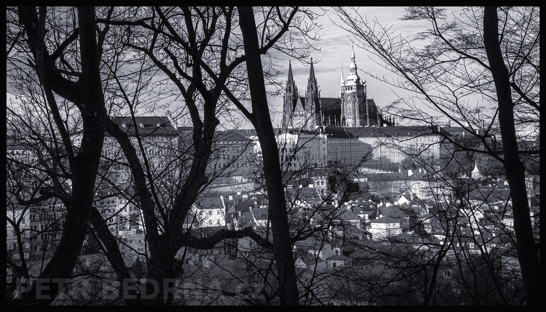 Hradčany - Pražský hrad, pohled z Petřína, Praha, stromy, historické budovy, Česko