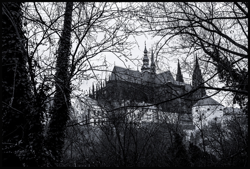 Katedrála sv. Víta, Václava a Vojtěcha, Pražský hrad, Královská zahrada