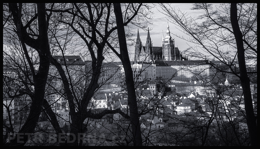 Prazsky-hrad-hradcany-31