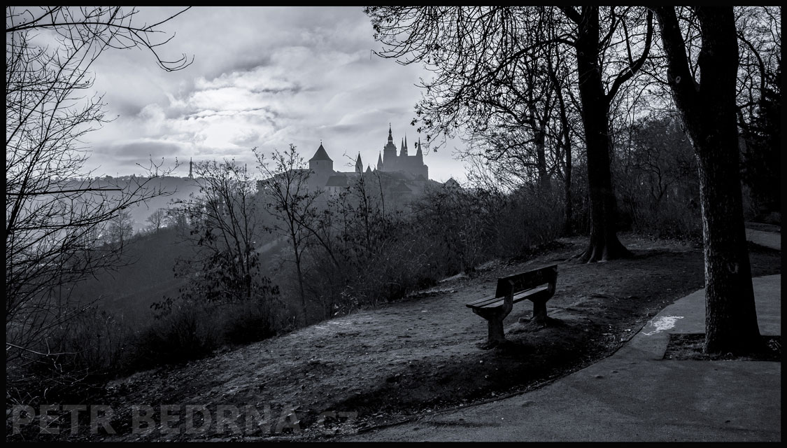 Pražský hrad, Petřín z Chotkových sadů, Praha - Hradčany, oblaka, park, obzor, stromy, Česko