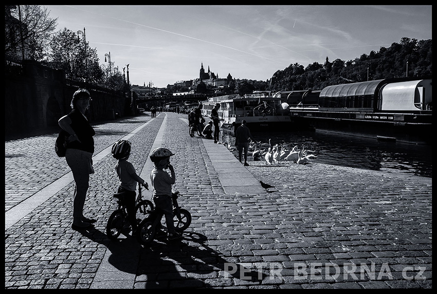 Přístaviště Na Františku, Pražský hrad, Vltava, Dvořákovo nábřeží, Praha