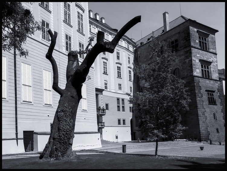 Zahrada na valech, Pražský hrad, Praha