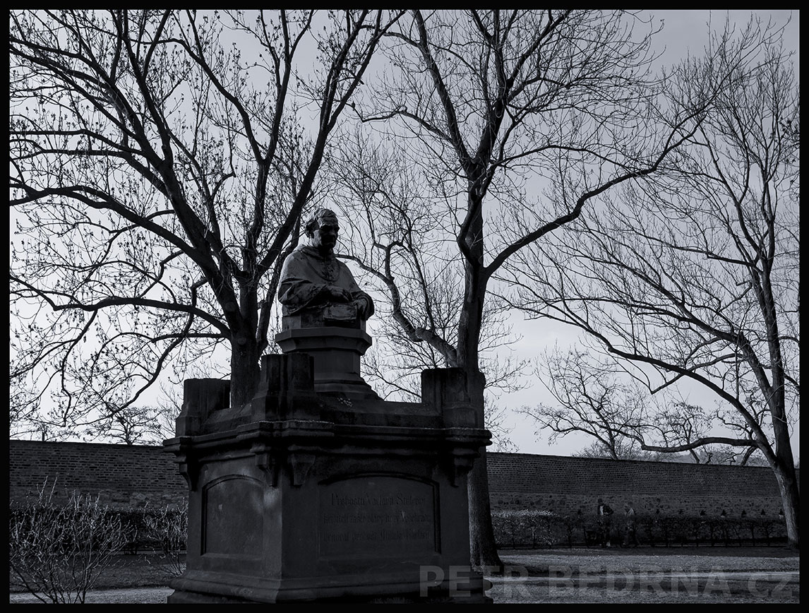 Pomník probošta Václava Štulce, Štěpán Zálešák, Vyšehrad, Praha, street foto, strom, park, historická památka, Česko