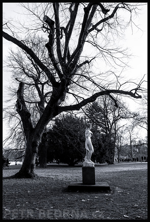 Socha Réva, Karla Vobišová-Žáková, Kampa, Praha, street foto, strom, park, historická památka, turisté, Česko