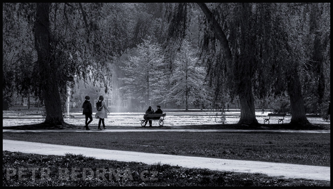 Rudolfův rybník, Praha, Stromovka, street foto, postavy, stromy, příroda, turisté, Česko