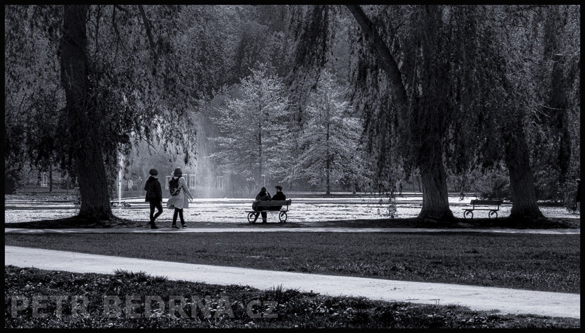Rudolfův rybník, Praha, Stromovka, street foto, postavy, stromy, příroda, Česko