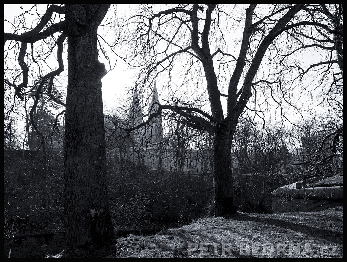 Bazilika sv. Petra a Pavla, Karlachovy sady, Praha - Vyšehrad, park, stromy, kostel, historická památka, Česko