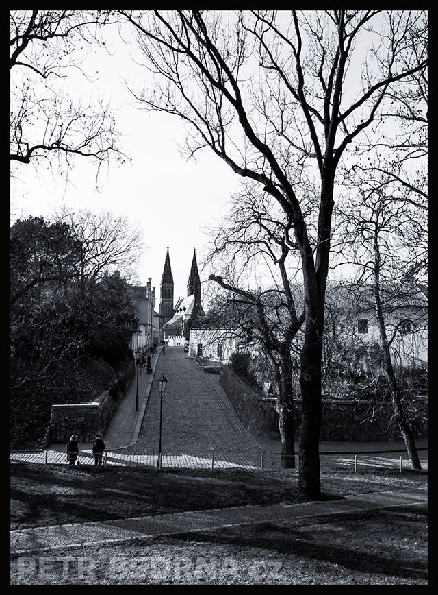 Bazilika sv. Petra a Pavla, ulice K Rotundě, Praha - Vyšehrad, park, stromy, kostel, Česko