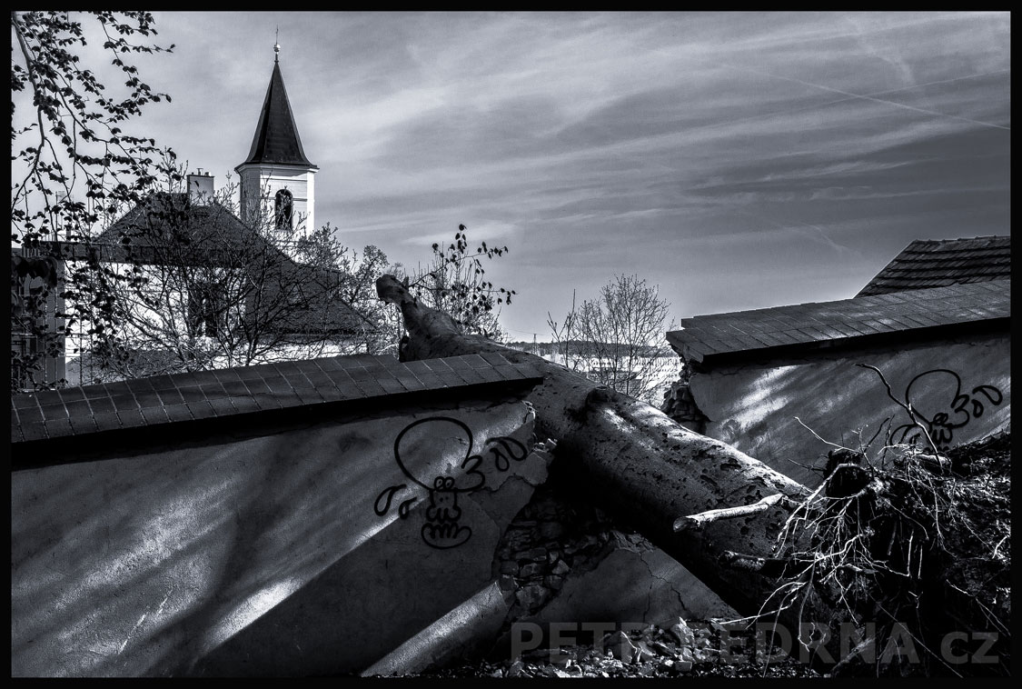 Padlý strom, Kostel sv. Fabiána Šebestiána, obora Hvězda, Praha - Liboc, příroda, památky, obloha, Česko