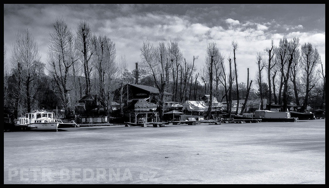 Loděnice Stará plavba, Libeňský ostrov, Praha, zamrzlá Vltava, stromy, Česko