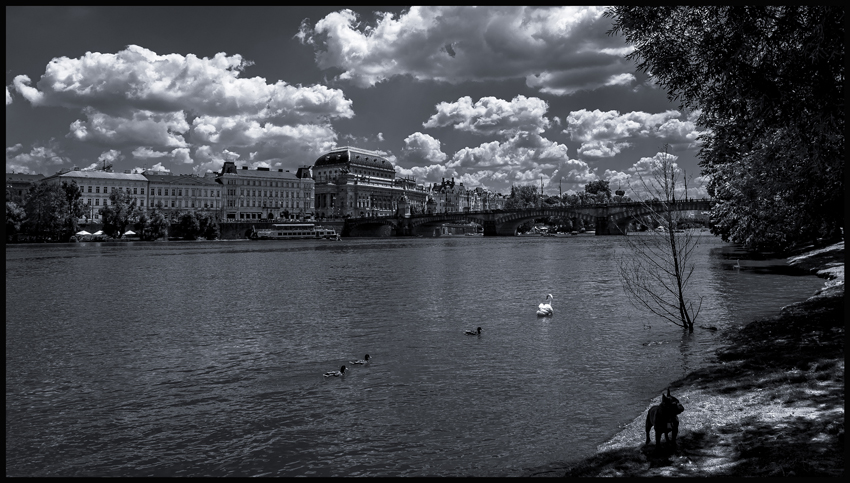 Národní divadlo, Smetanovo nábřeží, Praha