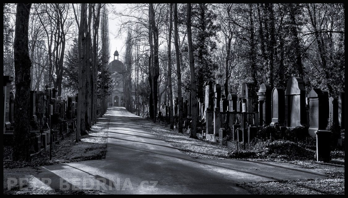 Nový židovský hřbitov, Olšany, Praha, obřadní síň, stromořadí, Česko