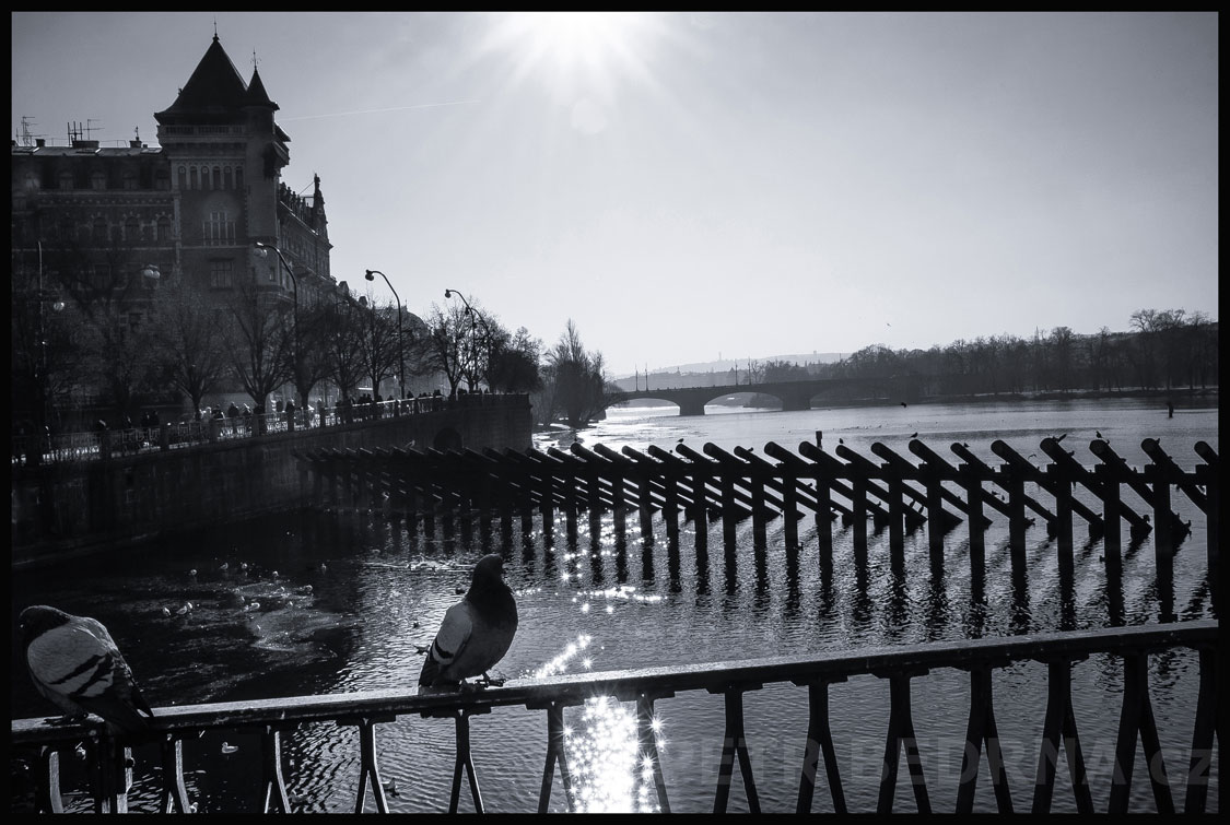 Smetanovo nábřeží, Most Legií, Vltava, Novotného lávka, Praha, pohled z Novotného lávky, holubi, Česko