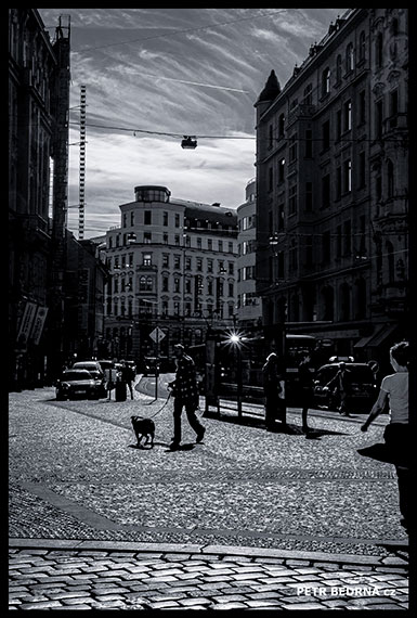 Vodičkova ulice, pán s pejskem, Praha