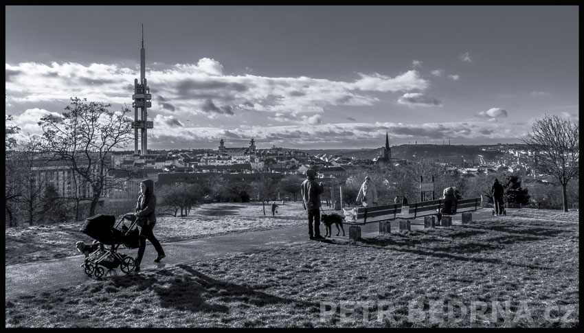 Žižkovská věž, Parukářka, Praha, Žižkov, 2024