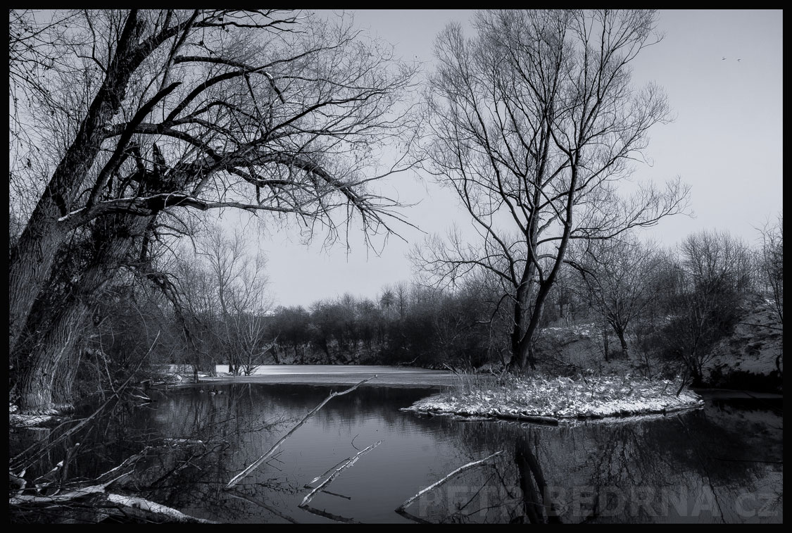 Přehrada Hostouň a strom uprostřed, Hostouň u Prahy, Kladno, rybník, stromy, Dobrovízský potok, podoba, Česko