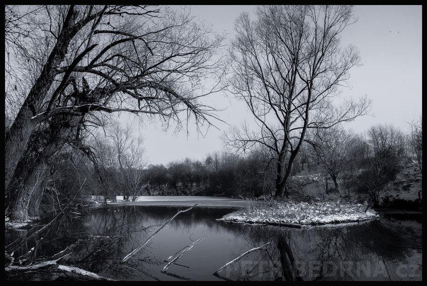 stromy, Stromy kibicové a dáma na ostrůvku, Hostouň, Kladno, rybníček, příroda, obzor, Česko