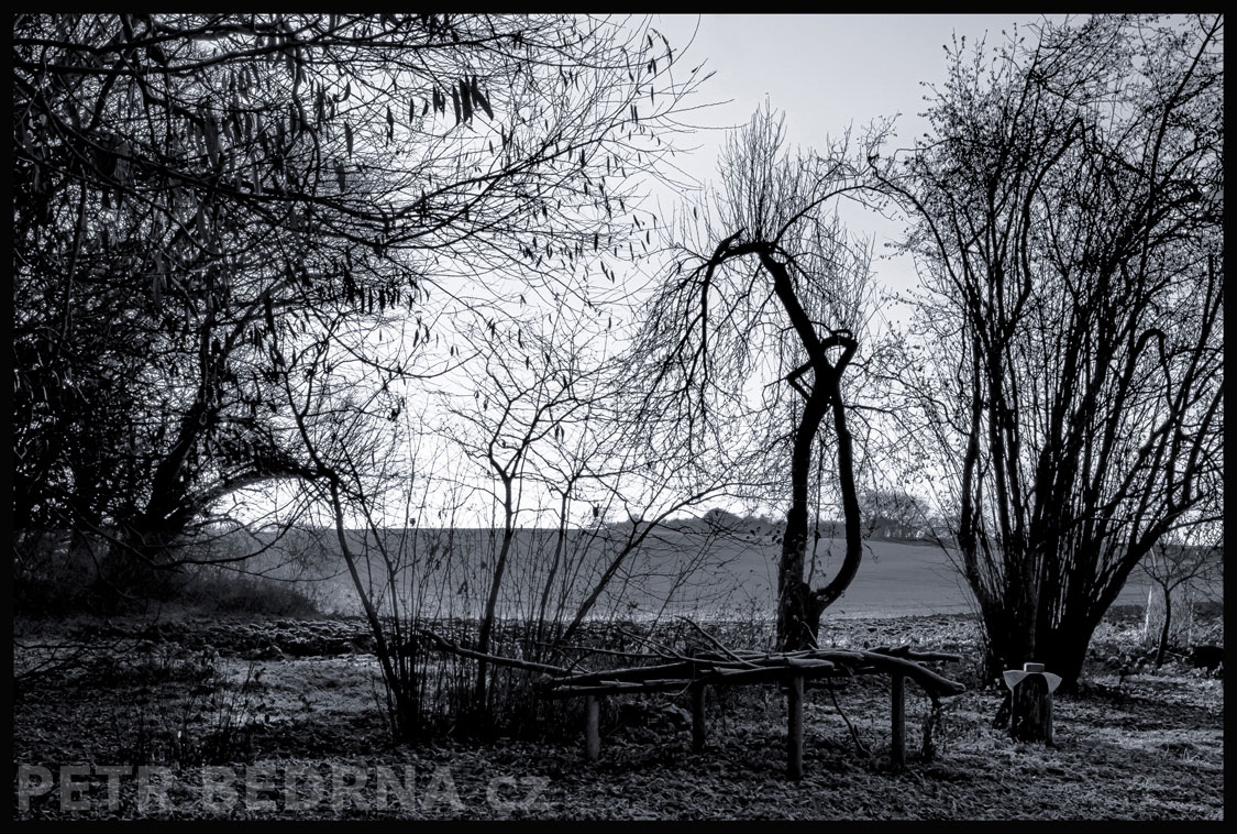 Výhles na pole od chatky, Hostouň u Prahy, Kladno, okolí, obzor, pole, stromy, podoba, Česko