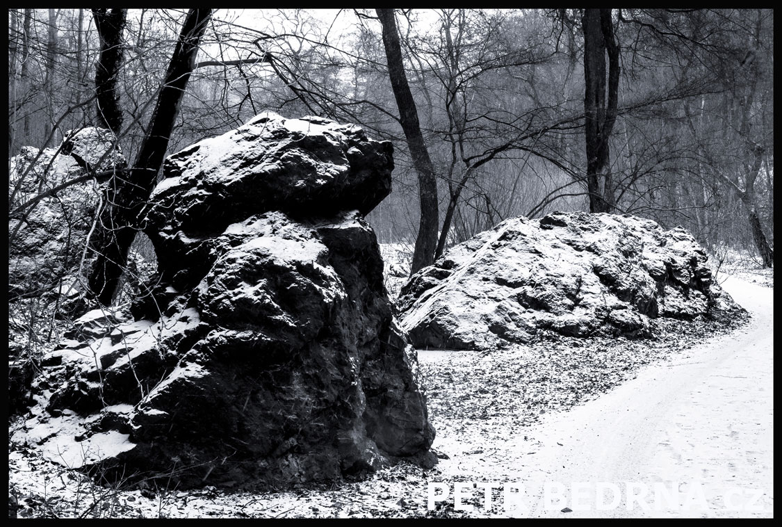 Skála Maxipes Fík proti větru, Praha, Divoká Šárka, stromy, příroda, les, přírodní rezervace, podoba, Česko