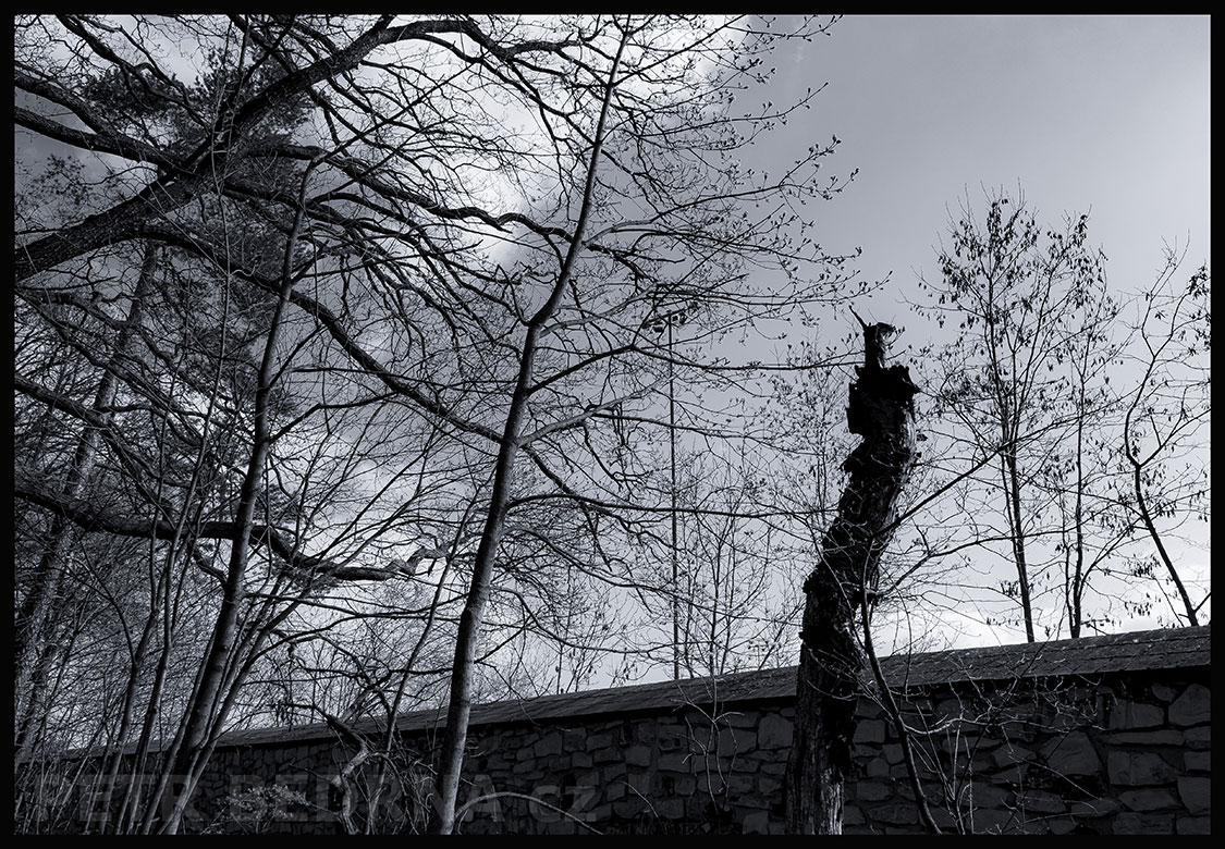 Dívenka s klobočkem, Praha, obora Hvězda, krása, příroda, les, významná přírodní památka, podoba, Česko