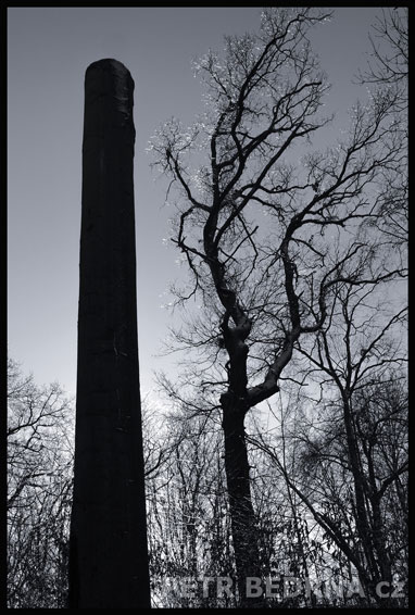 strom, Uhlazený jinoch a histerka, Praha, obora Hvězda, příroda, Česko