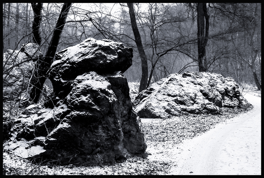 Maxipes, Divoká Šárka, Praha, Stromy