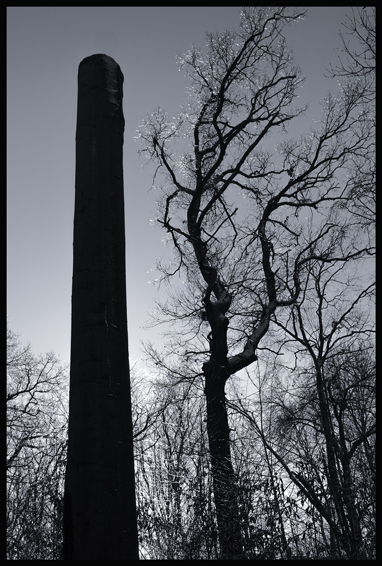 On a ona, obora Hvězda, Praha, Stromy