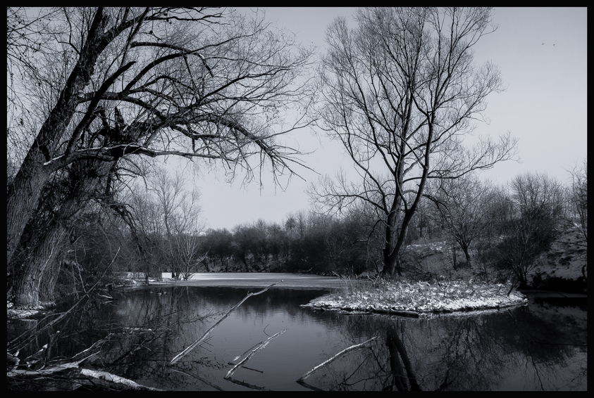 Ostrůvek na rybníčku, Hostouň, Stromy(3)