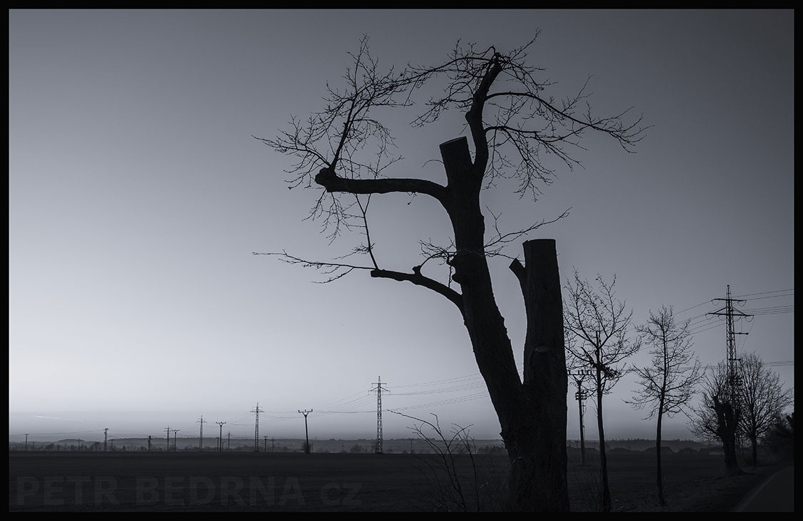 Sbohem západe, Středokluky, strom, příroda, obzor, obloha, Česko