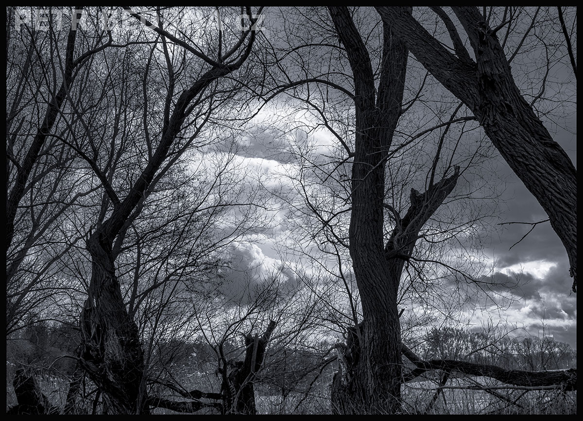 Stromy - tři hvězdáři, Velké Číčovice, krása, příroda, obloha, obzor, pole, krajina, západ slunce, podoba, Česko