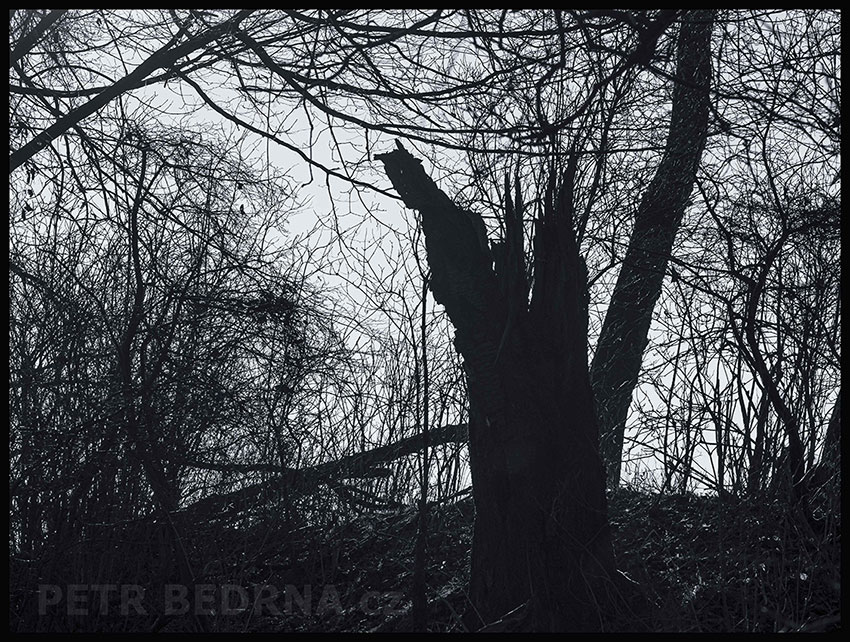 Čert na kazatelně a dva ministranti, Říčany, Stromy