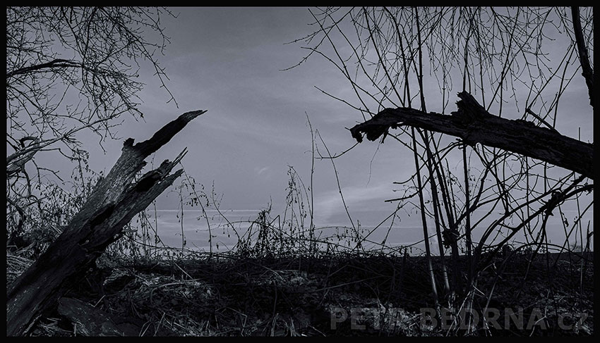 Potkali se na vyhlídce, Říčany, Stromy