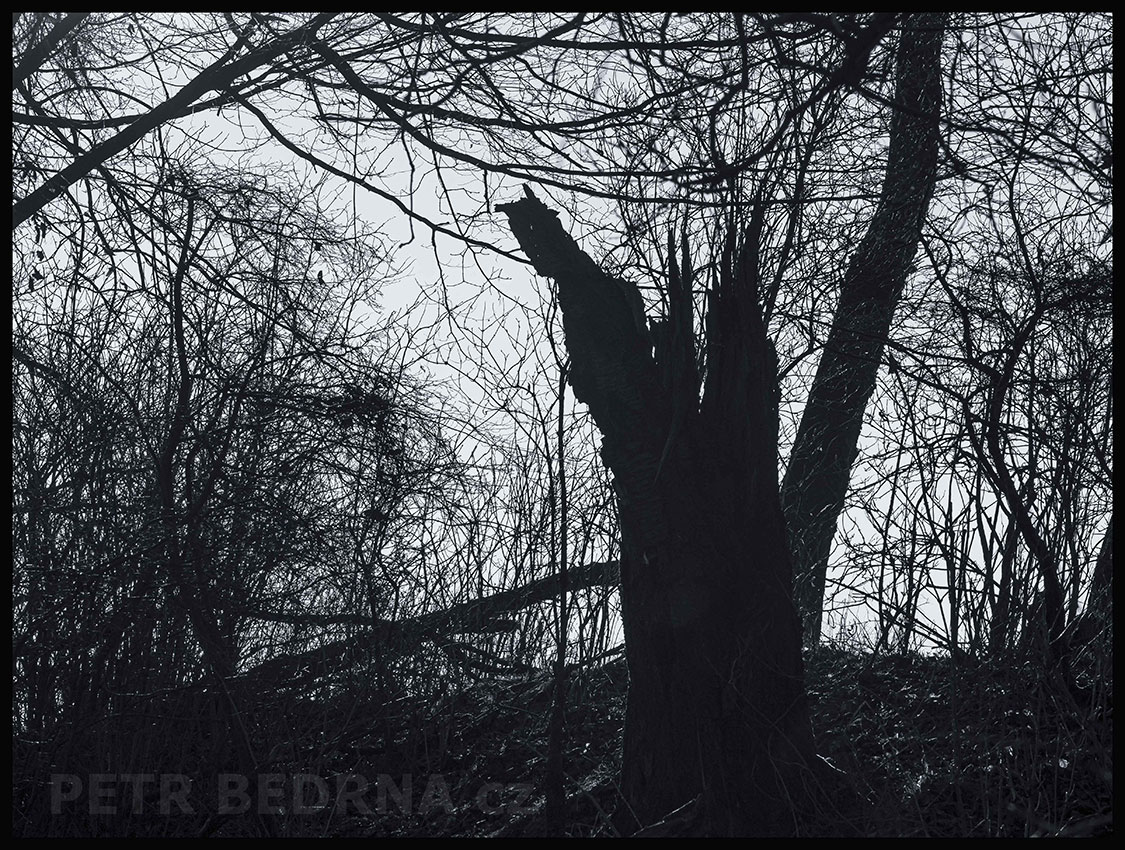 Strom čert na kazatelně a dva ministranti, Říčany u Prahy, okolí, krása, les, obloha, Česko
