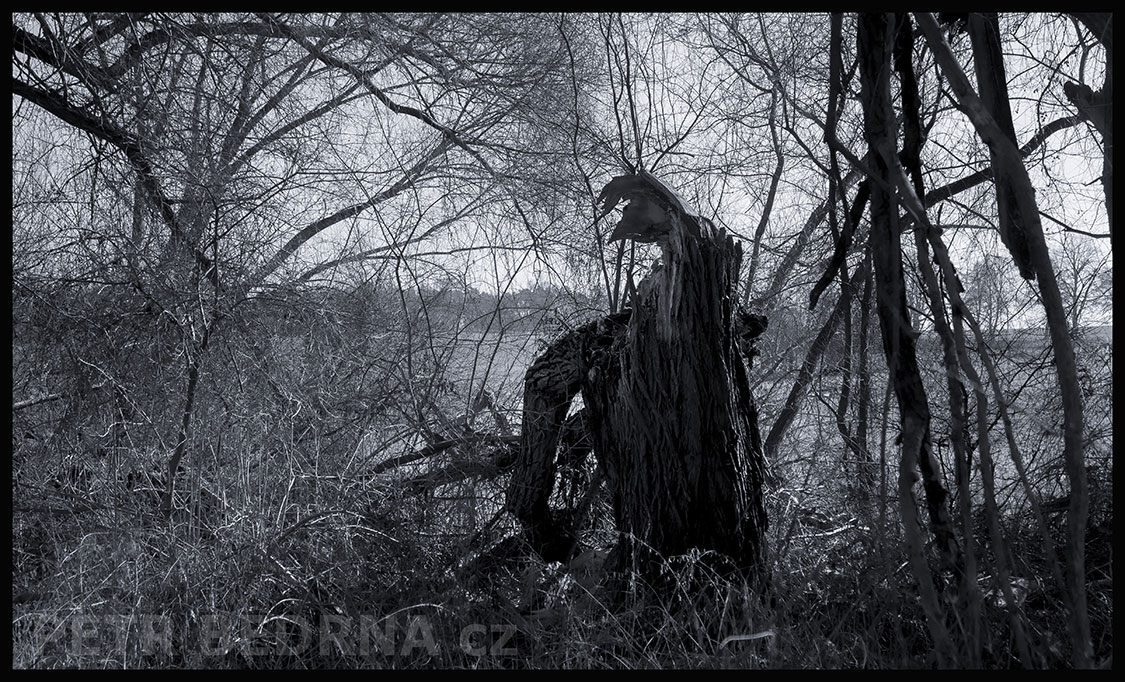 Chromy - Unavený bez plášťe a bez svědomí, Lidice, Kladno, krása, okolí, strom, figuríny, podoba, Česko